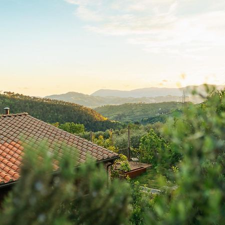 Agriturismo La Burlanda Фосдиново Екстериор снимка