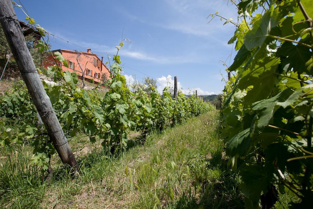 Agriturismo La Burlanda Фосдиново Екстериор снимка