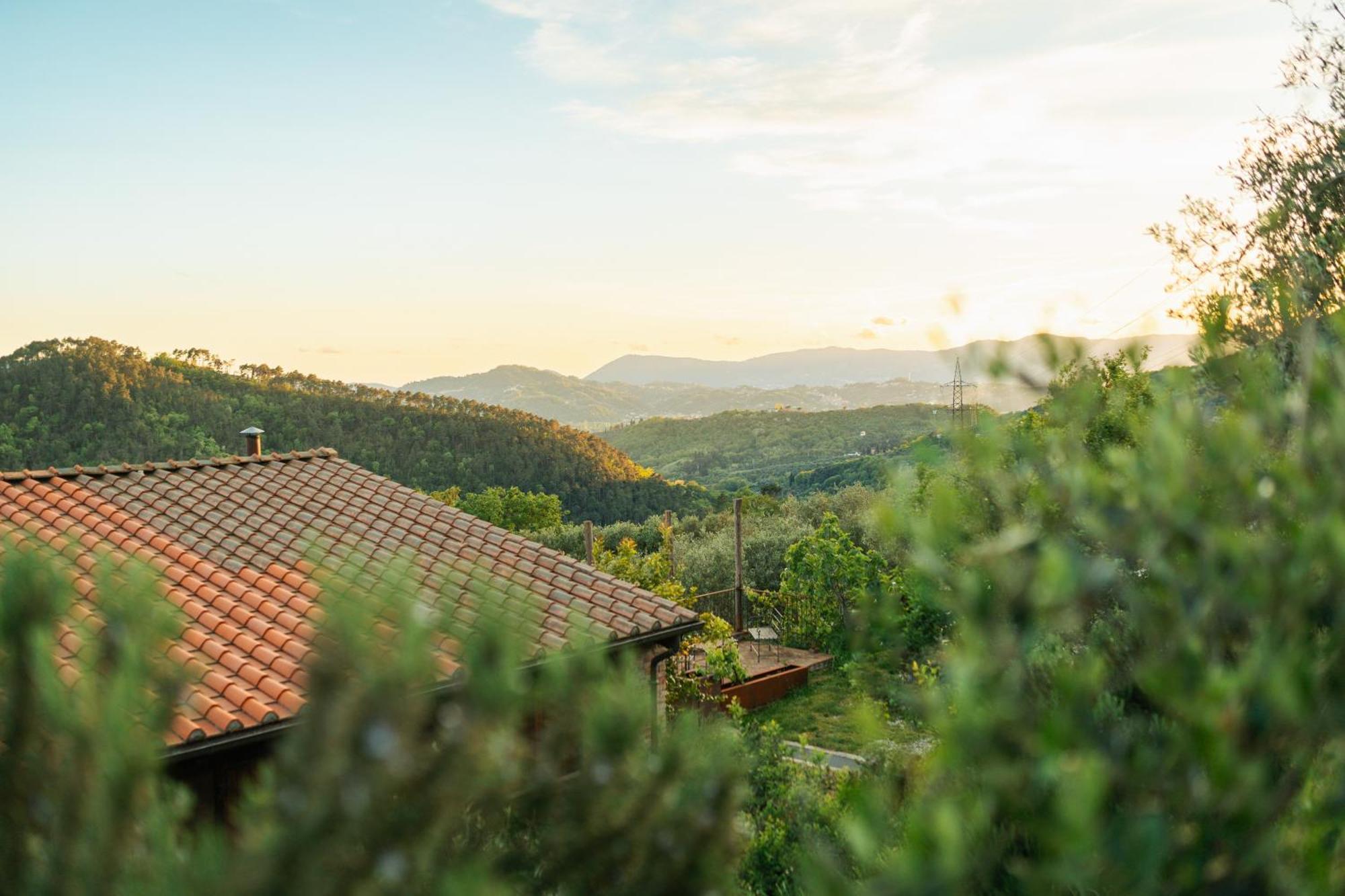Agriturismo La Burlanda Фосдиново Екстериор снимка